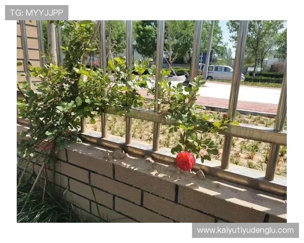 打开开云地址平台的详细操作流程，解决常见访问问题的实用技巧